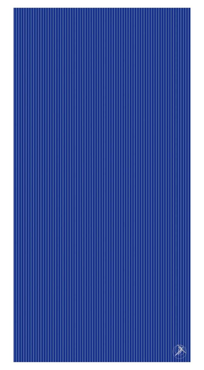 ProfiGymMat REHAMAT 200x100x2,5cm BLAU ProfiGymMat REHAMAT 200x100x2,5cm BLAU