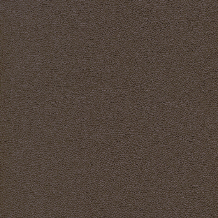 MOCCA
