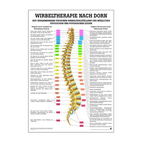 Anatomische Lehrtafel - Wirbeltherapie nach Dorn - Details