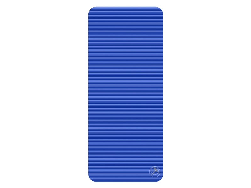 ProfiGymMat Professional 180x60x1,0cm mit Ösen 10er Set
