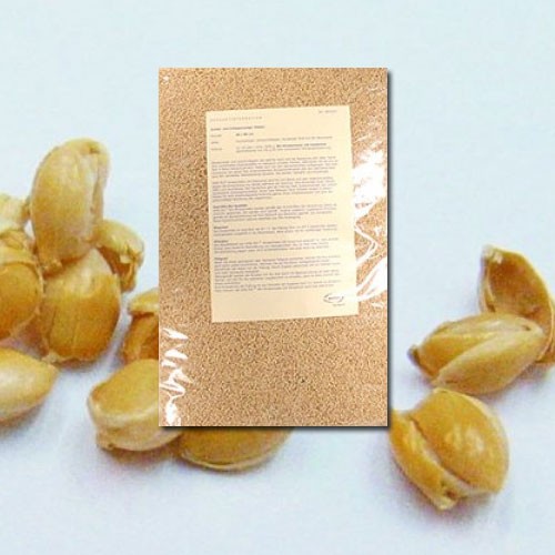 Speltex Nachfüllpack Bio-Dinkelspelzen ohne Kautschuk 1000g