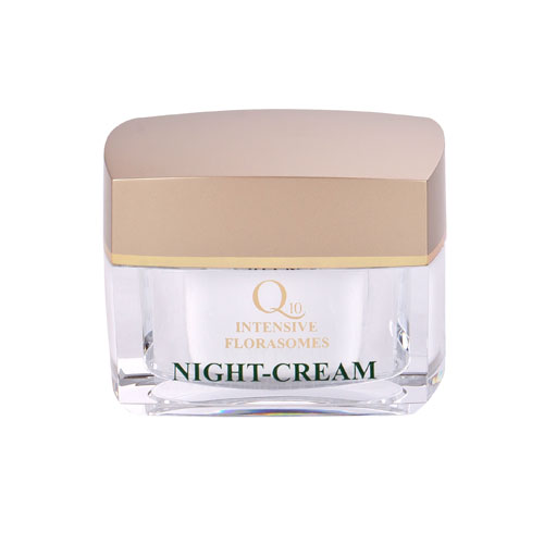 Hagina Q10 Night Cream Nachtcreme 50ml