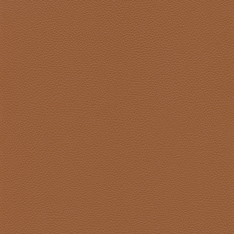 CASHMERE