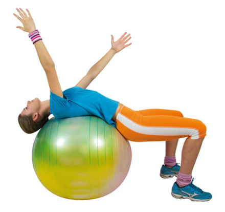 Original Gymnic Arte Ball Gymnastikball 55 Gymnic Arte Ball 65cm
